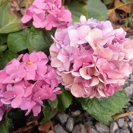 木屋 Zenda De Fontanales 摩亚